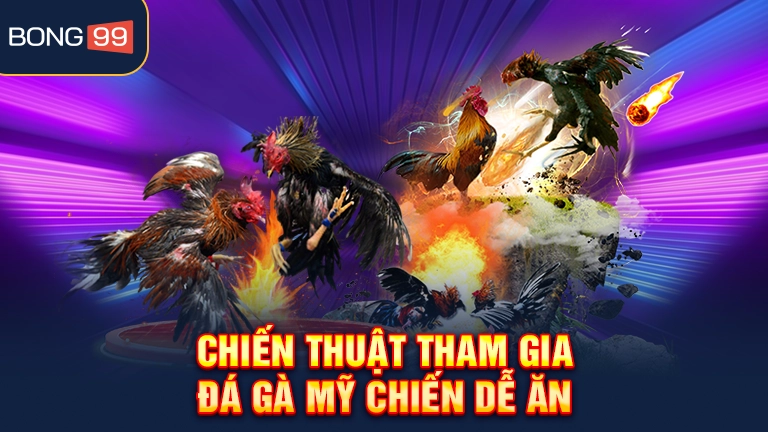 Chiến thuật tham gia đá gà Mỹ chiến dễ ăn