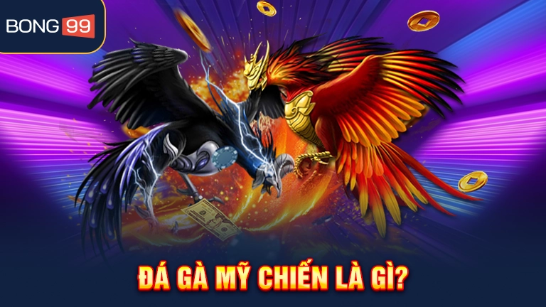 Đá gà Mỹ chiến là gì?