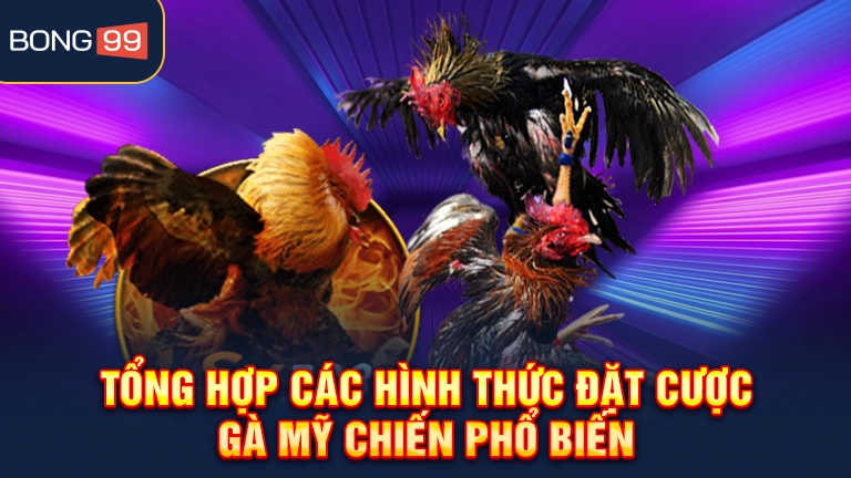 Tổng hợp các hình thức đặt cược gà Mỹ chiến phổ biến