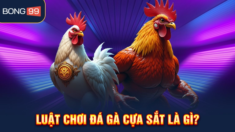 Luật chơi đá gà cựa sắt là gì?