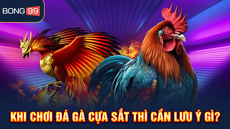 Khi chơi đá gà cựa sắt thì cần lưu ý gì?