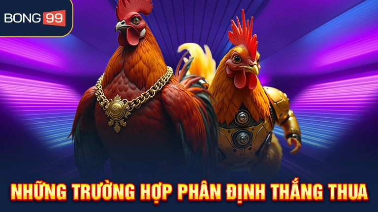 Giới thiệu về đá gà cựa sắt hấp dẫn hiện nay