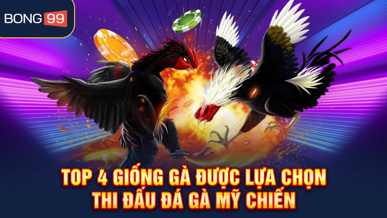 Top 4 giống gà được lựa chọn thi đấu đá gà Mỹ chiến